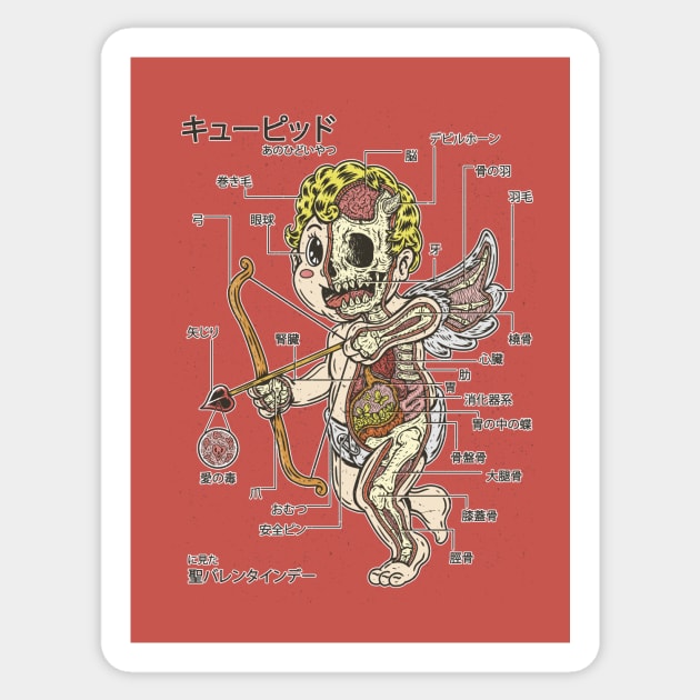 CUPID ANATOMY Sticker by Firebrander